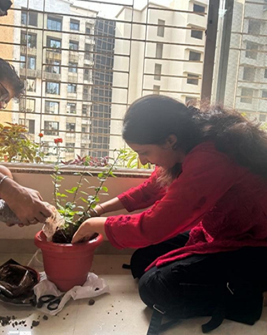 World-Environment-Day-pcer-2025-1